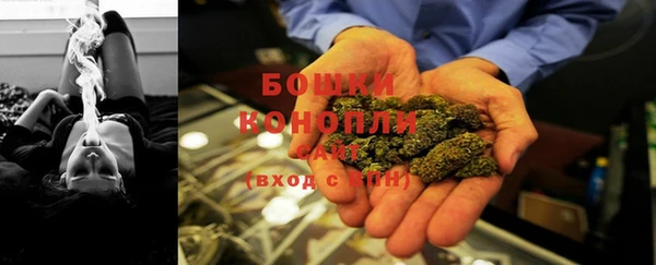ГАЛЛЮЦИНОГЕННЫЕ ГРИБЫ Новодвинск