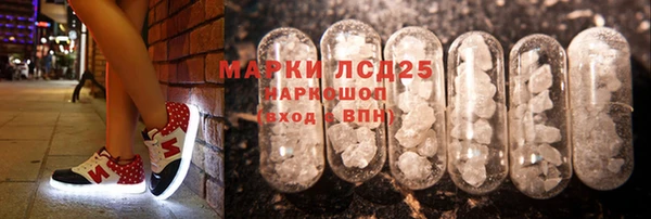 ГАЛЛЮЦИНОГЕННЫЕ ГРИБЫ Новодвинск
