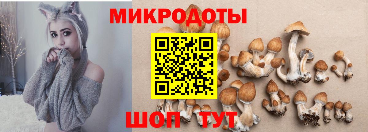Псилоцибиновые грибы Cubensis  Вход с VPN  Прокопьевск 